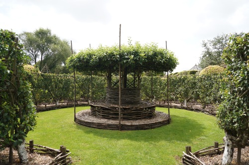 At the center of the labyrinth is an apple tree whose canopy is formed into a ceiling.