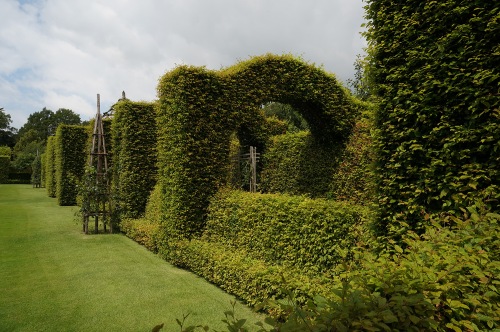 Pew-like forms are carved into the sides of the hornbeam arches