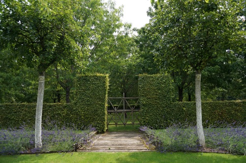 A gate formed from the same twigs marks the entrance to the next orchard.