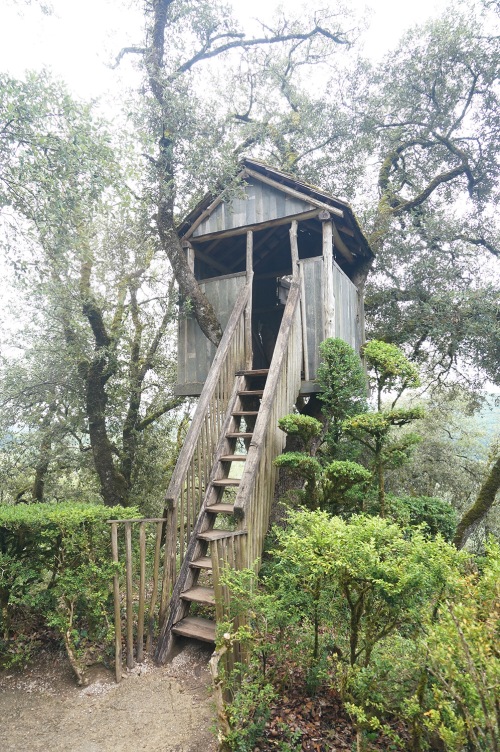 Along with playgrounds, the treehouse is one of the more obvious gestures to appeal to children (and thus unused.)